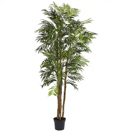 Front. BreeBe - 6' Bella Palm Tree w/1496 Lvs - Green.