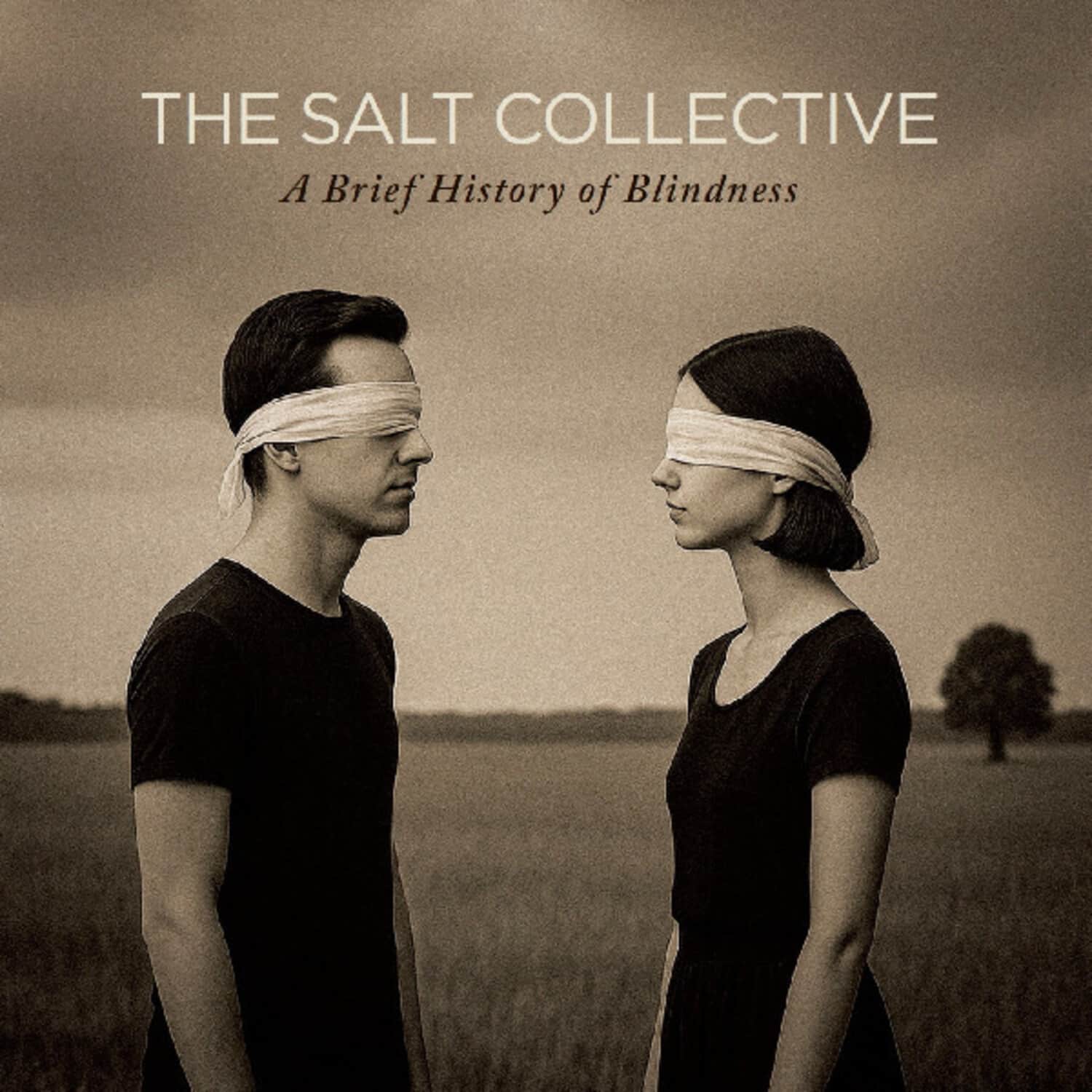 Salt Collective - A Brief History of Blindness   - COMPACT DISCS [CD] price history on PriceWatchPro