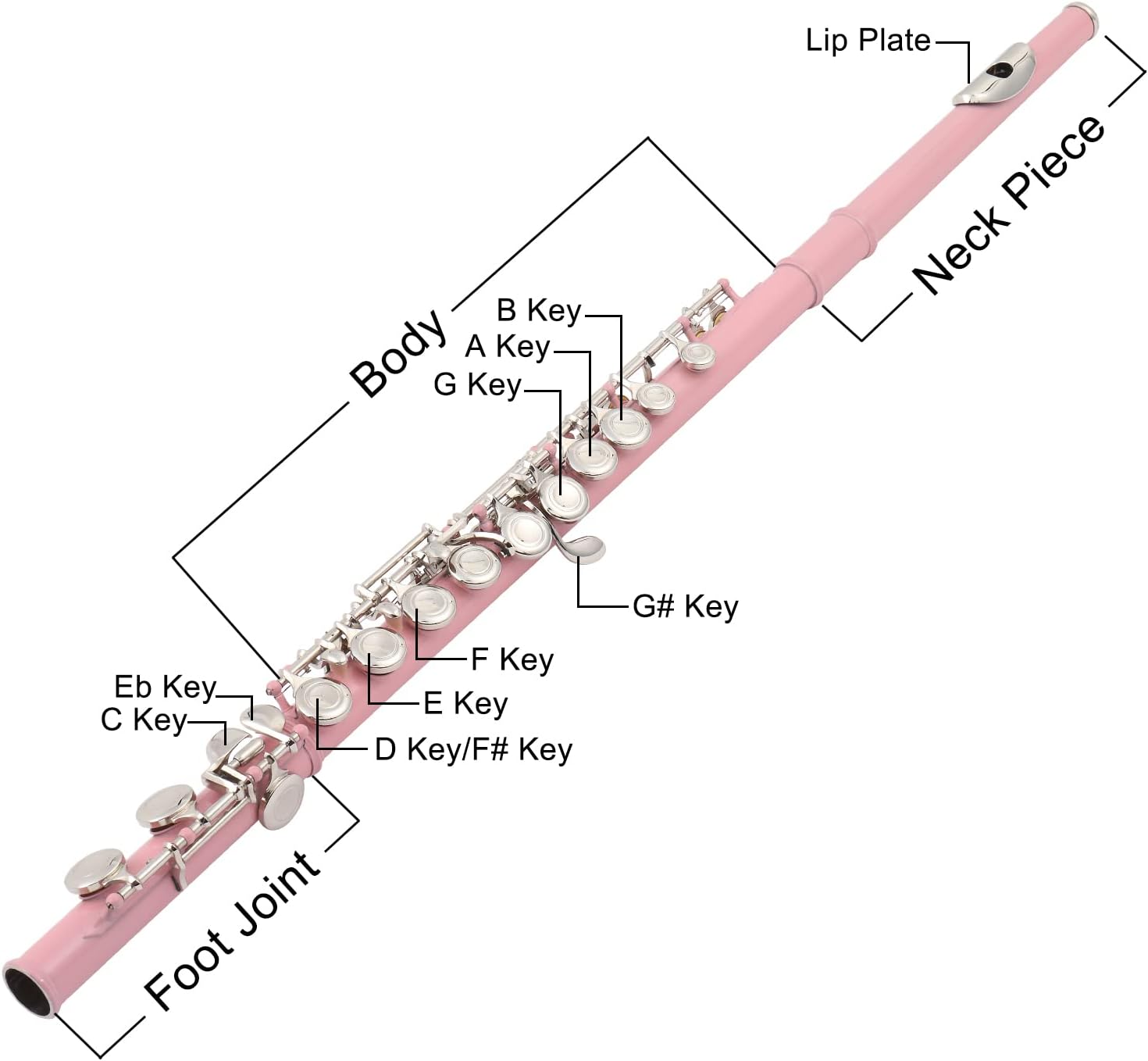 Key A Key Body G Key  
Lip Plate Piece Neck  
Eb Key C Key  
F Key E Key D Key/F# Key  
G# Key  
Joint Foot
