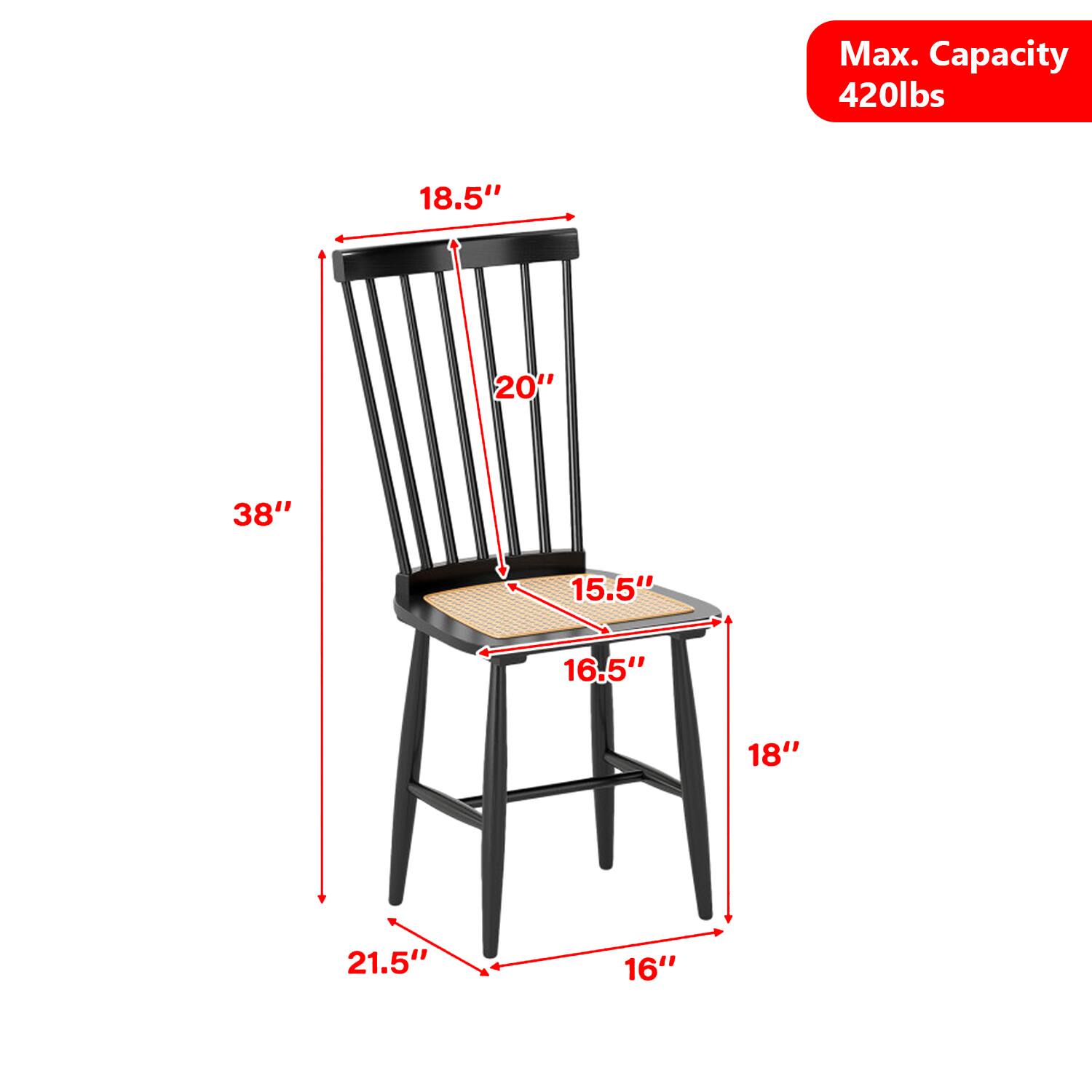 Max. Capacity 420lbs  
18.5"  
20"  
38"  
15.5"  
16.5"  
18"  
21.5"  
16"