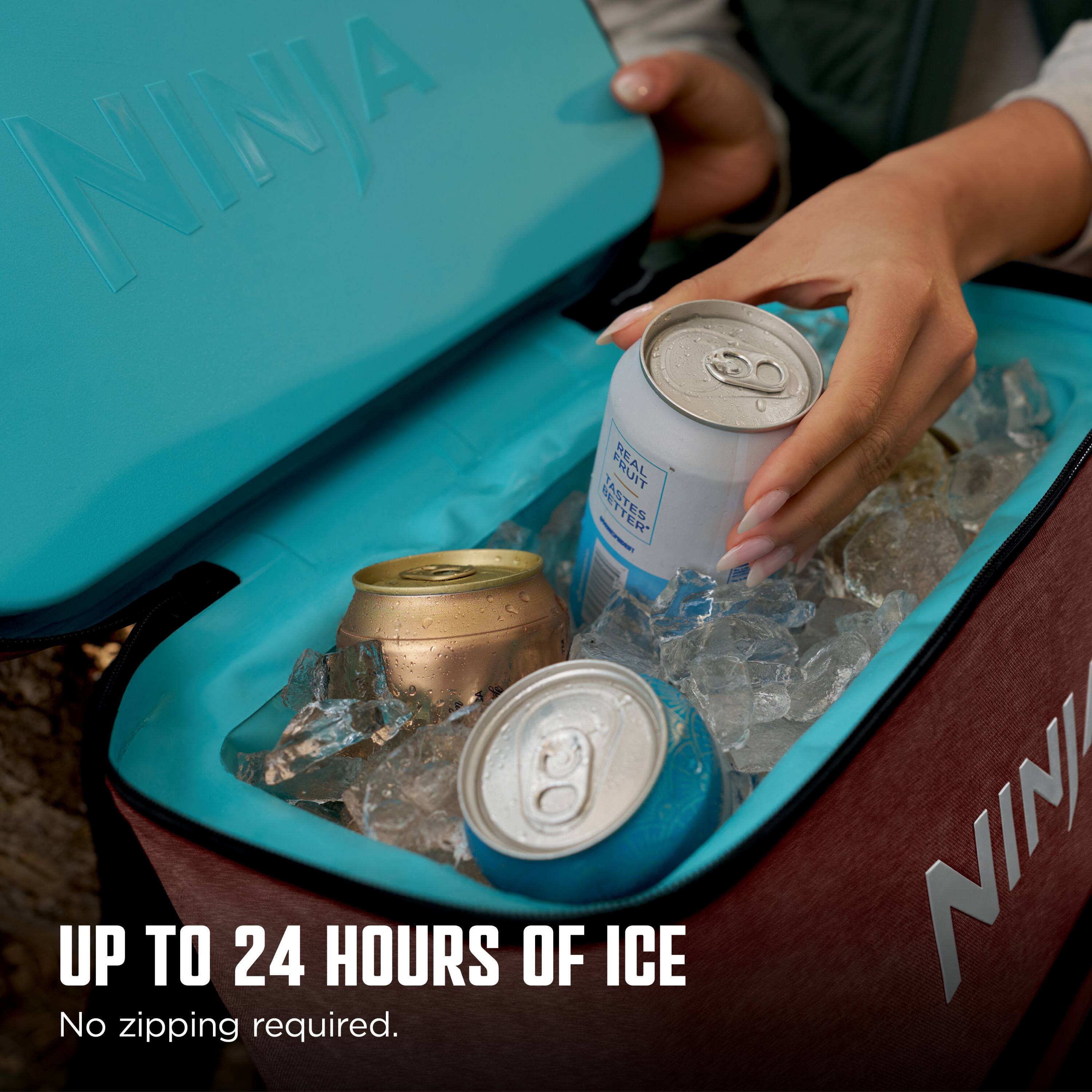 NINJA FRUIT REA STER ANT - FR - UP TO 24 HOURS OF ICE  
No zipping required.  
NINI