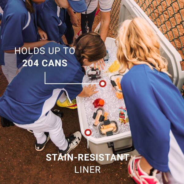 Holds up to 204 cans. Stain-resistant liner.
