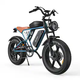Forest'nSky - 20" Electric Bike, 750W Motor & Dual 48V Batteries for Long-Distance Delivery - Blue
