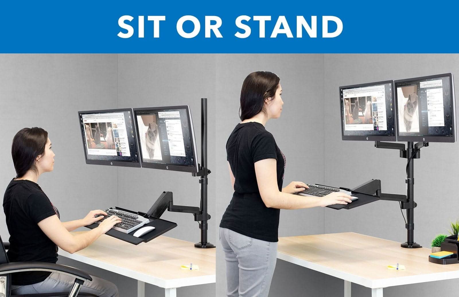 SIT OR STAND
