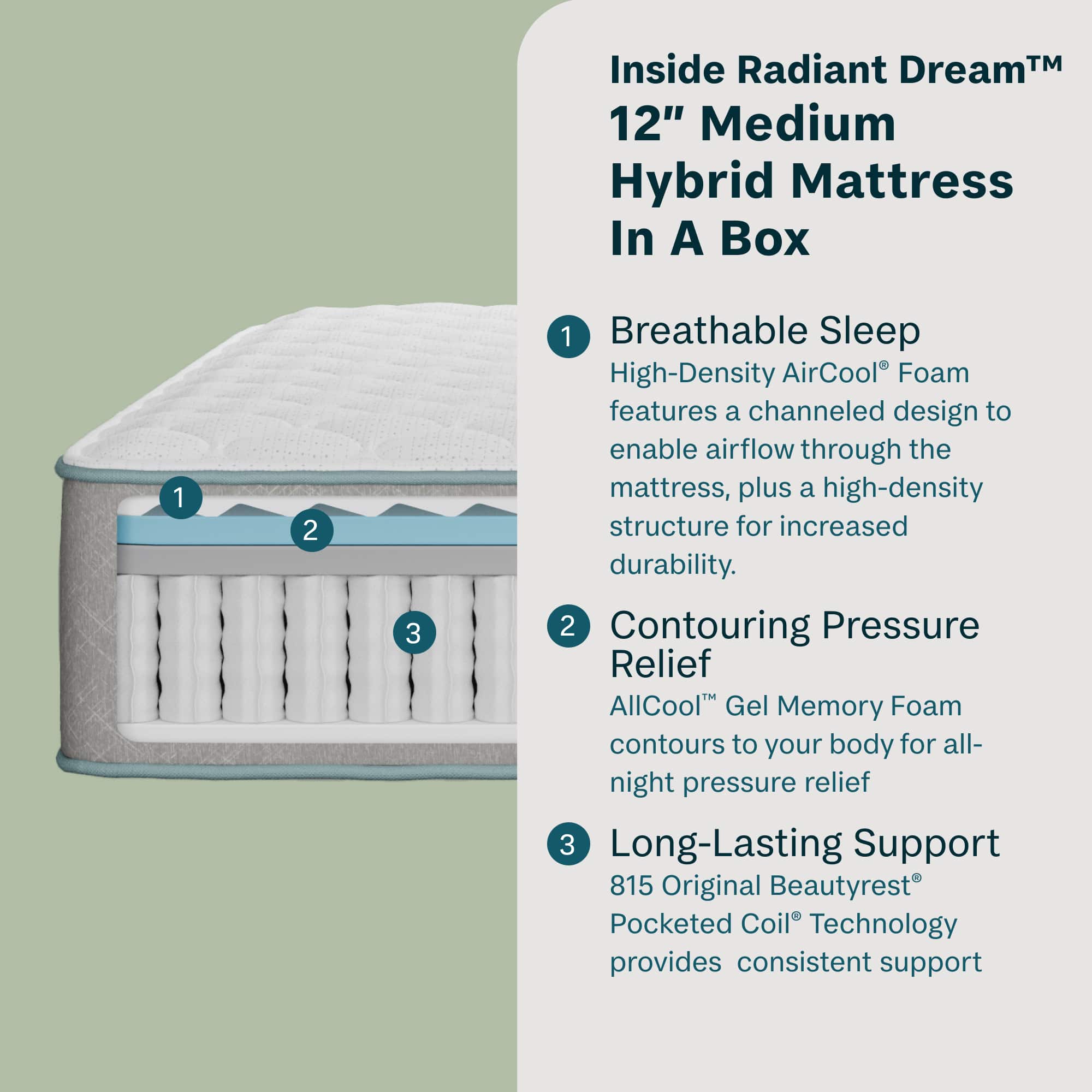 Inside Radiant DreamM 12" Medium Hybrid Mattress In A Box:
1. Breathable Sleep: High-density AirCool Foam features a channeled design to enable airflow through the mattress, plus a high-density structure for increased durability.
2. Contouring Pressure Relief: AllCool Gel Memory Foam contours to your body for all-night pressure relief.
3. Long-Lasting Support: 815 Original Beautyrest Pocketed Coil Technology provides consistent support.