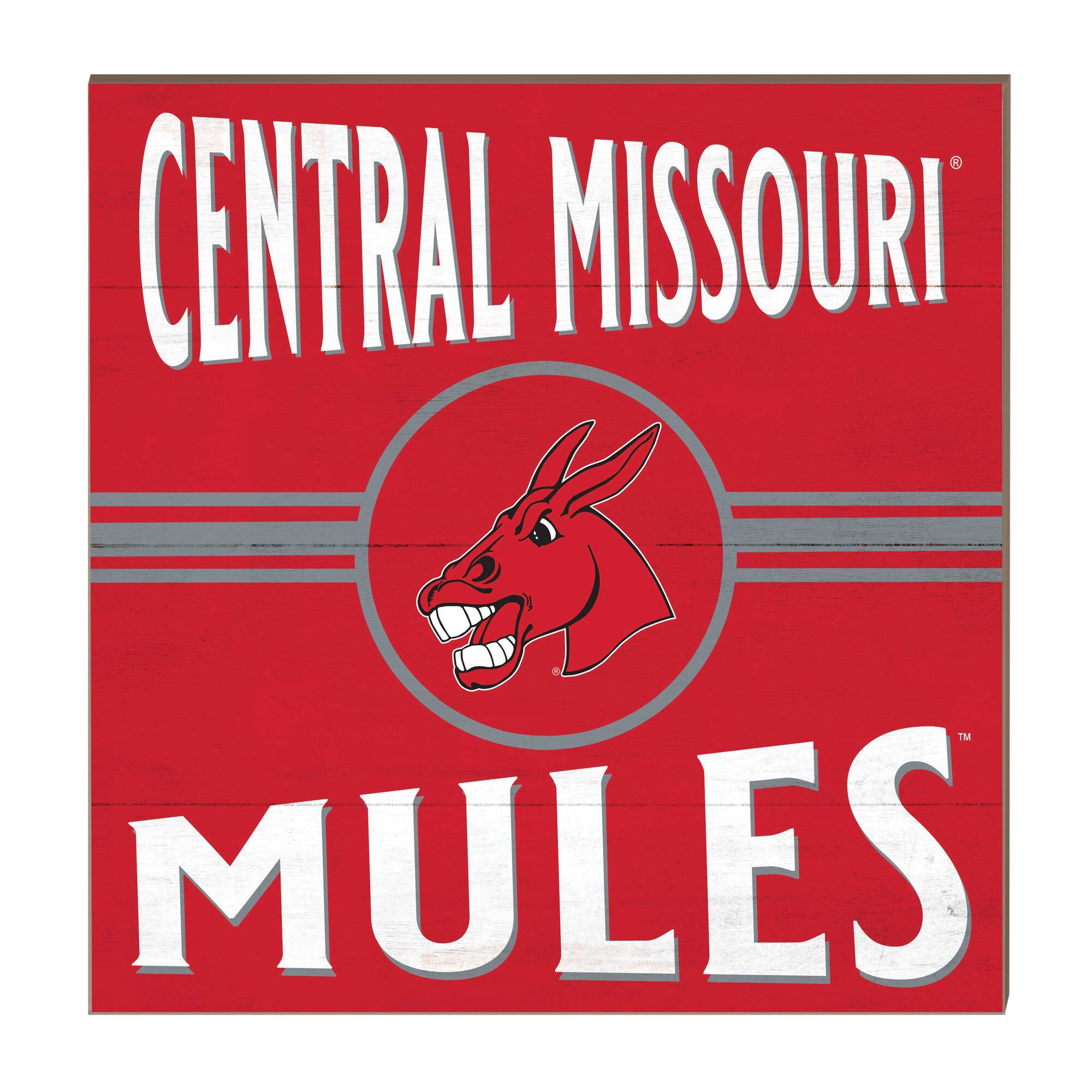 Central Missouri Mules 10'' x 10'' Retro Team Sign