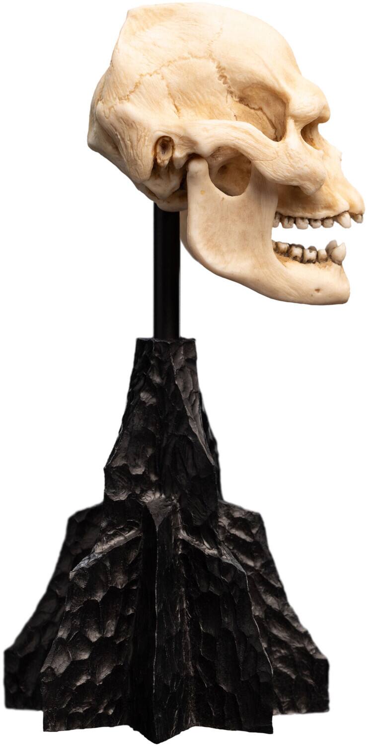 Alt View 3. Weta Workshop - WETA Workshop Polystone - The Lord of the Rings Trilogy - Skull of Lurtz Polystone Statue   - COLLECTIBLES - Multicolor.
