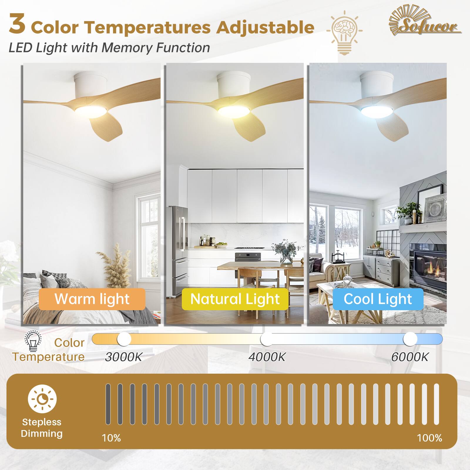 3 Color Temperatures Adjustable  
LED Light with Memory Function  

Warm Light  
Natural Light  
Cool Light  

Color Temperature  
3000K  
4000K  
6000K  

Stepless Dimming  
10%  
100%