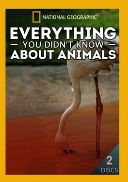 Everything You Didn't Know About Animals - DVD