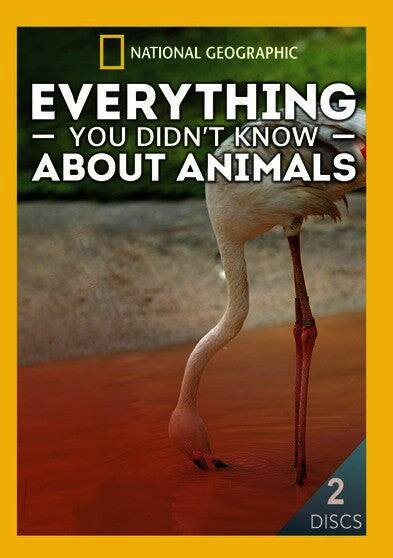Front. Everything You Didn't Know About Animals - DVD.
