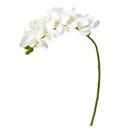 BreeBe - 21" Phalaenopsis Orchid Artificial Flower (Set of 6) - White