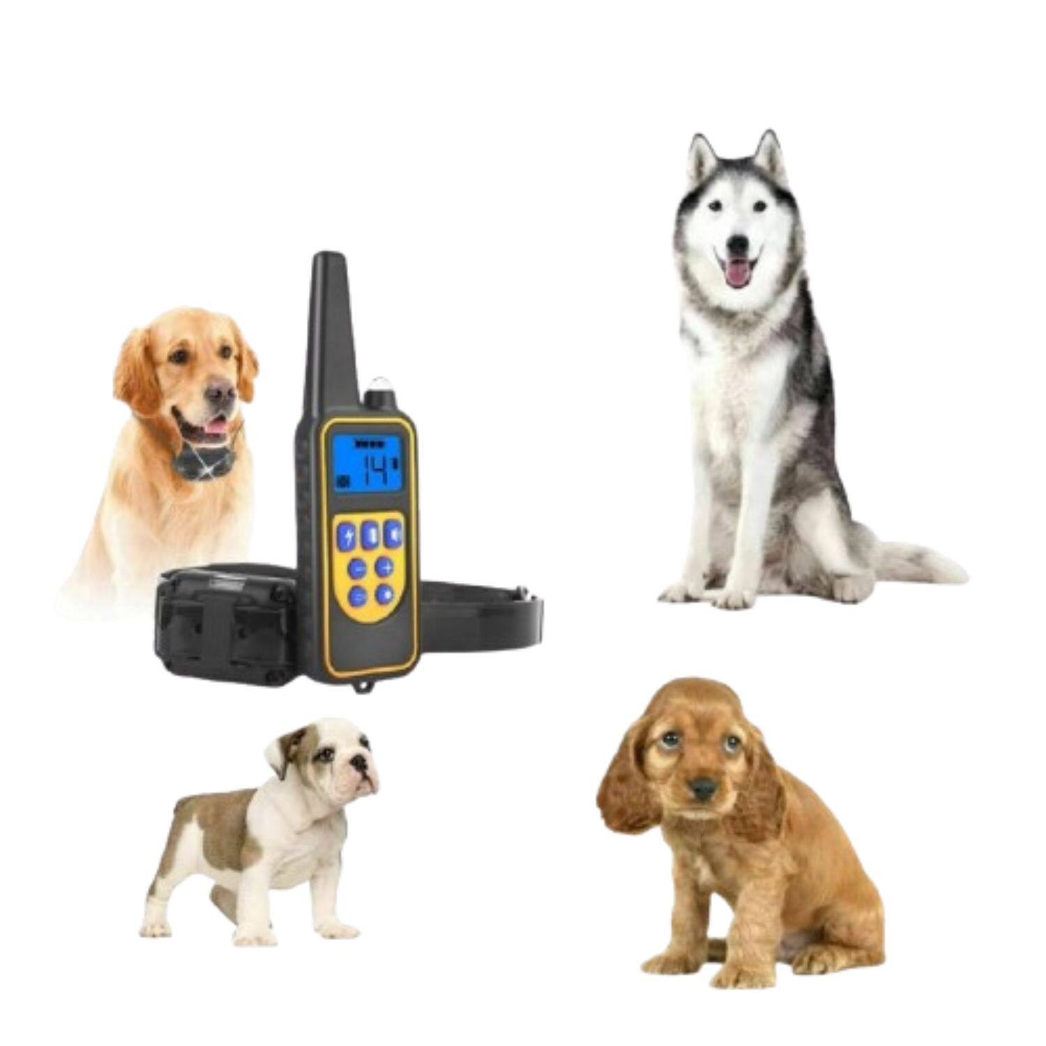 Angle. Stock Preferred - 2625FT, Rechargeable, Waterproof Collar with  Remote - Black.