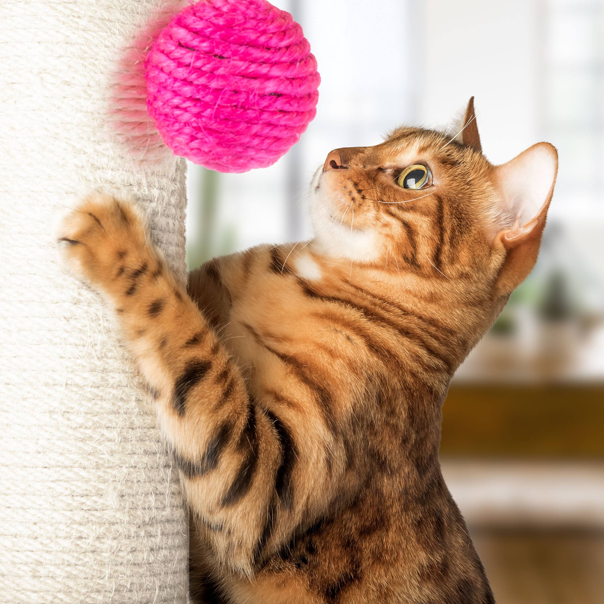 Alt View 4. PetMaker - 17-Inch Cat Scratching Post Sisal Rope and Carpet Scratching Pole with Bright Pink Hanging Ball Toy for Cats and Kittens - Gray.