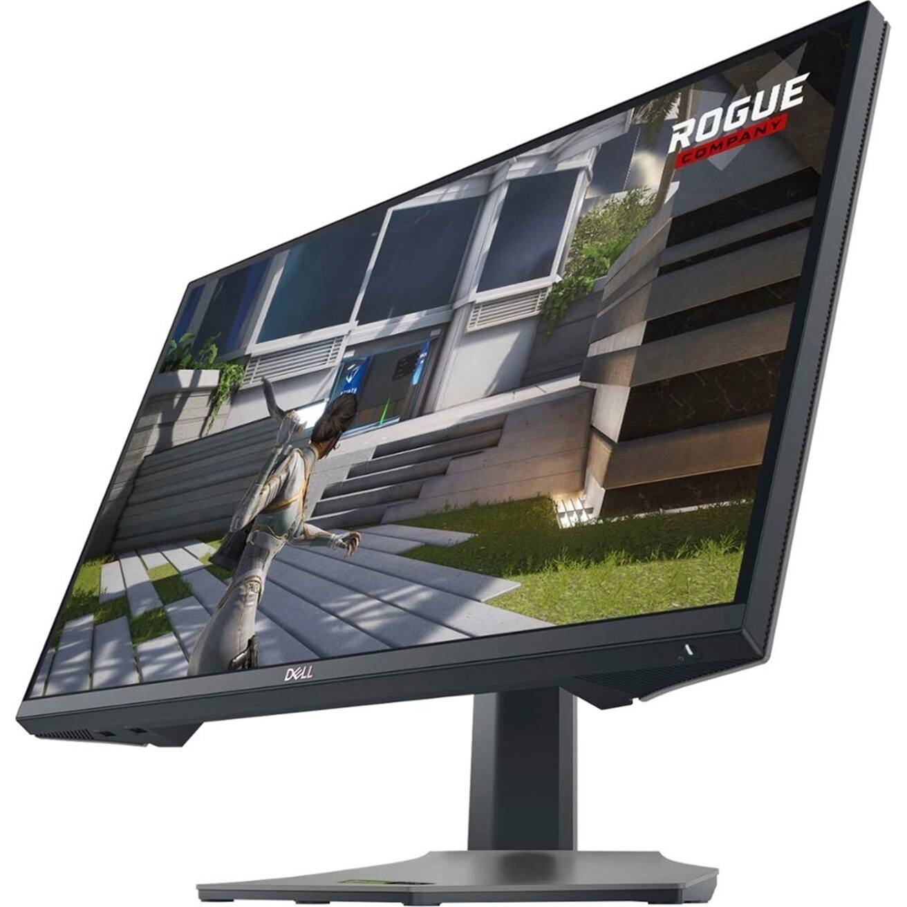ROGUE COMPANY

DELL