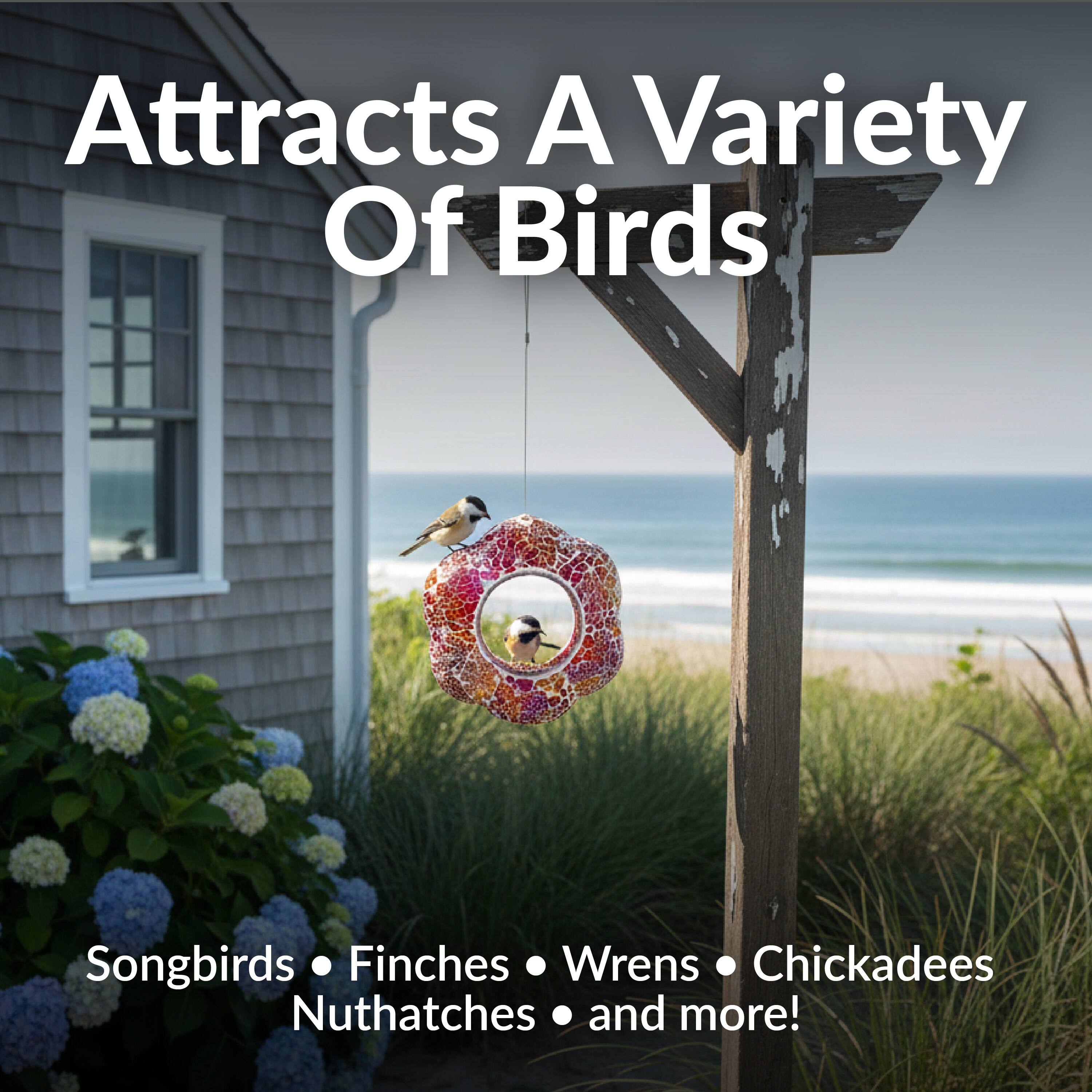 Attracts A Variety Of Birds  
Songbirds • Finches • Wrens • Chickadees • Nuthatches • and more!