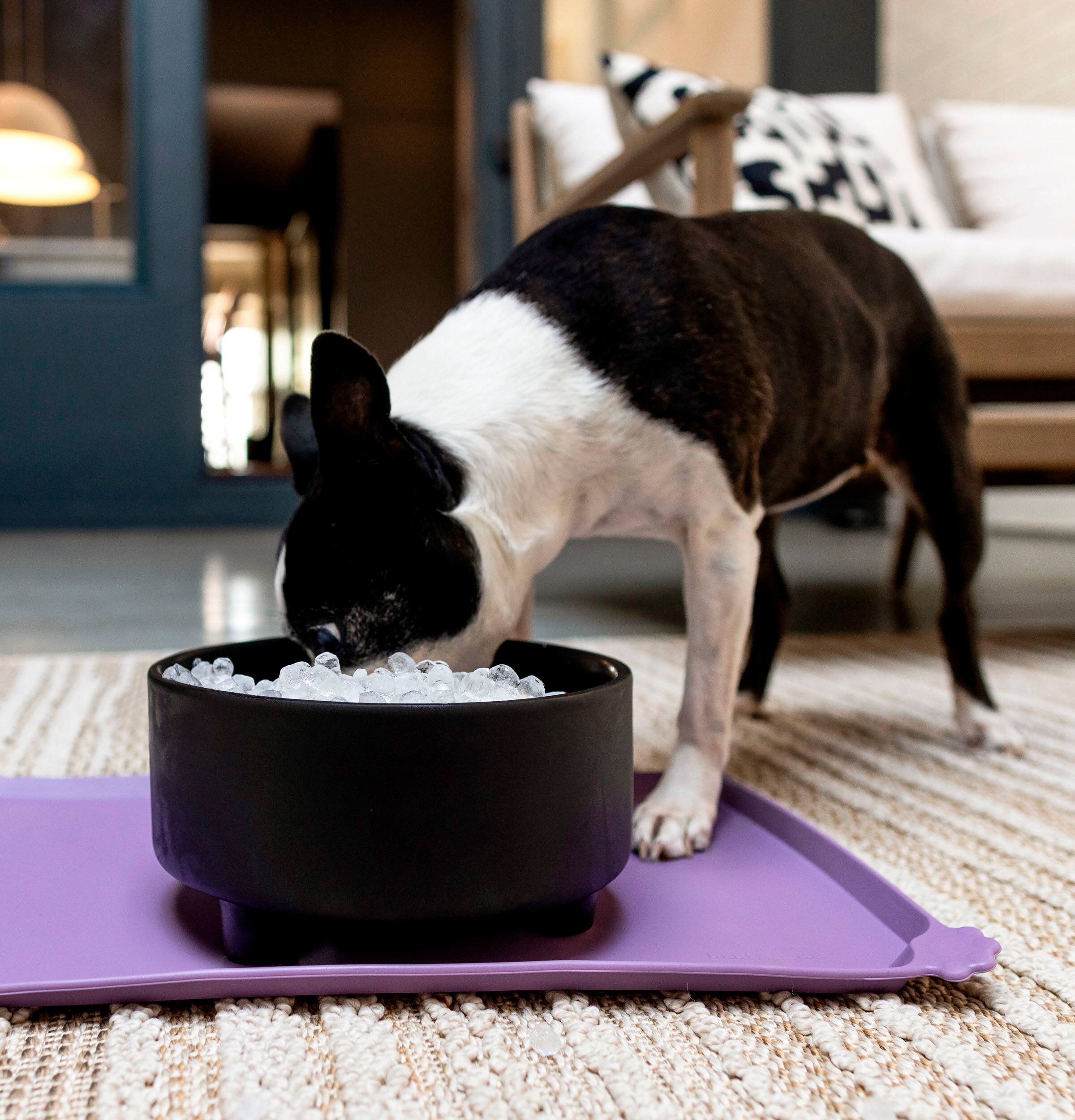 Alt View 28. GE Profile - Opal 2.0 Ultra Nugget Ice Maker with Side Tank and Scale Inhibiting Filter - Carbon Black.