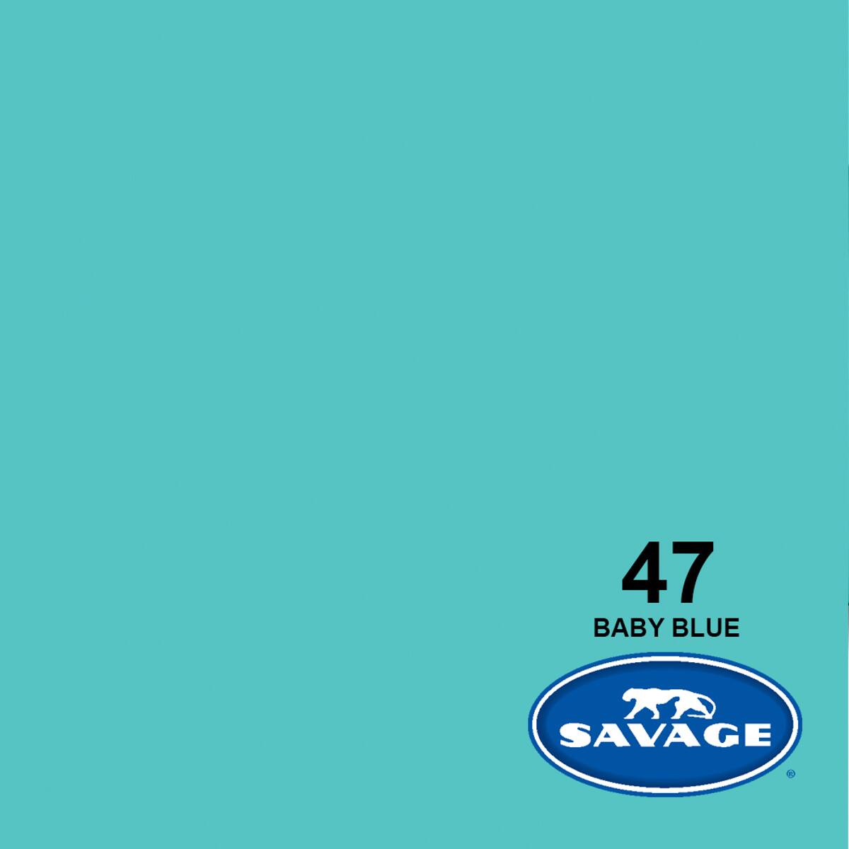 Savage 26