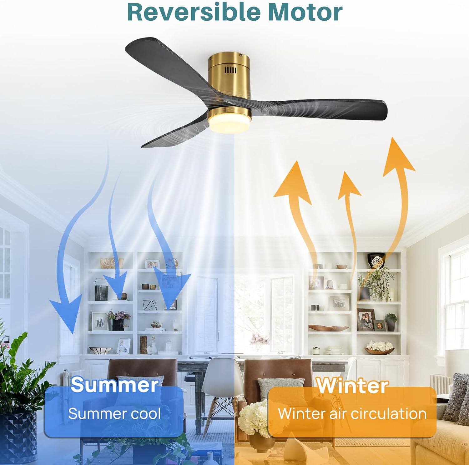 Reversible Motor

Summer  
Summer cool

Winter  
Winter air circulation