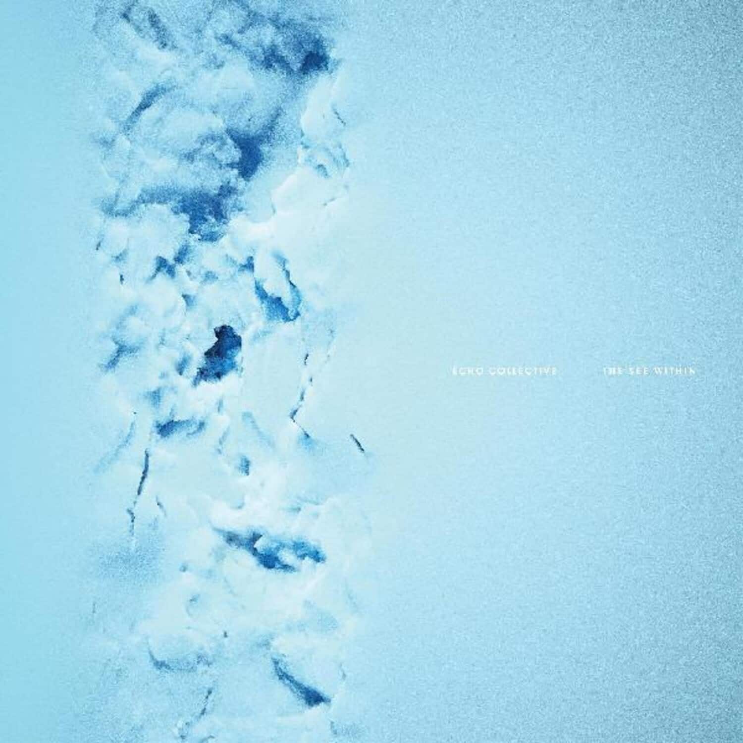 Echo Collective - The See Within   - VINYL LP