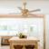 Left. Parrot Uncle - 52" BohoSand Gold Cage Ceiling Fan with Remote and Light Kit - Matte White.