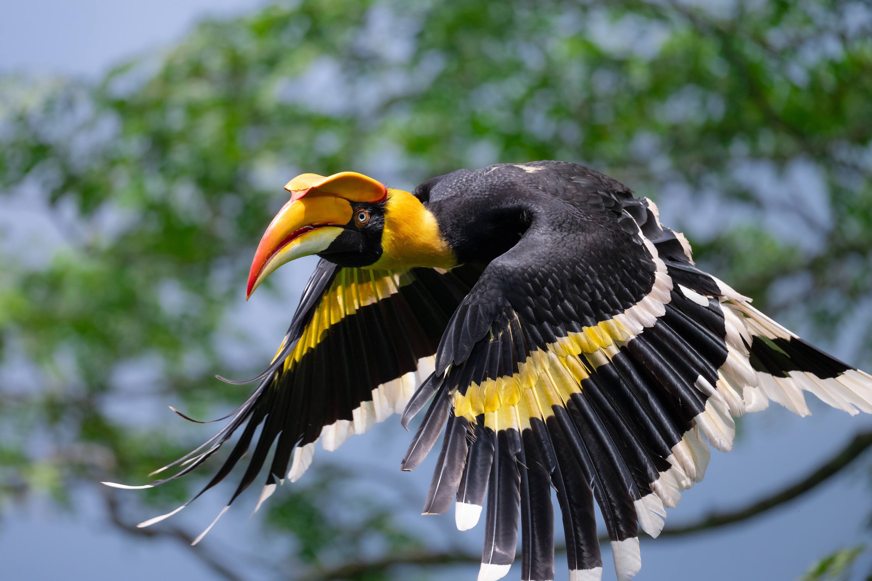 Alt View 11. Nikon - NIKKOR Z 600mm f/6.3 VR S - Black.