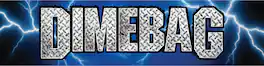PopMarket - Dimebag Darrell - Pluginz - Dimebag Dean from Hell - Magnetic Grill - NOVELTIES - Multicolor