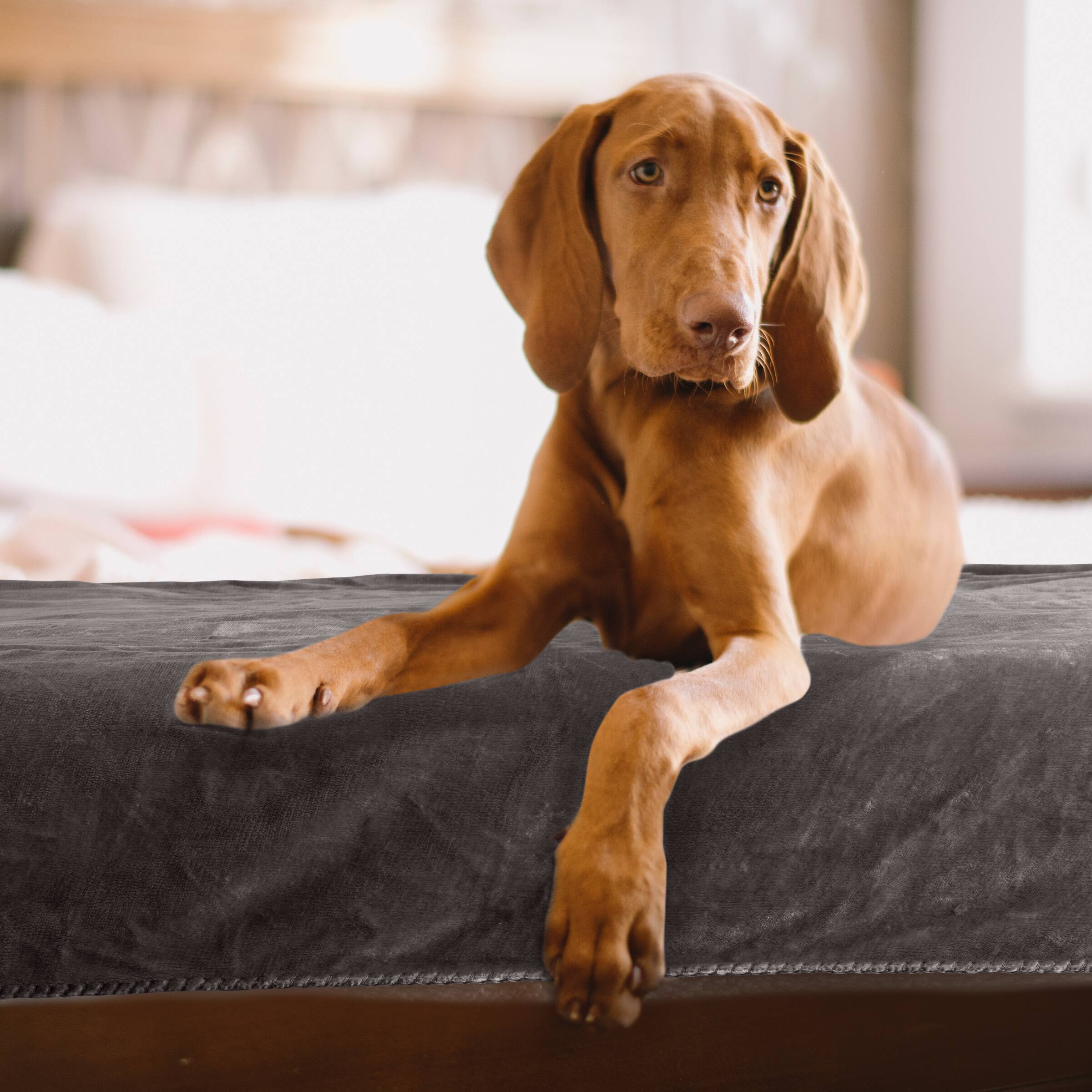 Left. PetMaker - 80 x 100 Water Resistant Pet Blanket - Charcoal Gray.