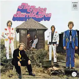 The Flying Burrito Brothers - The Gilded Palace Of Sin - VINYL LP