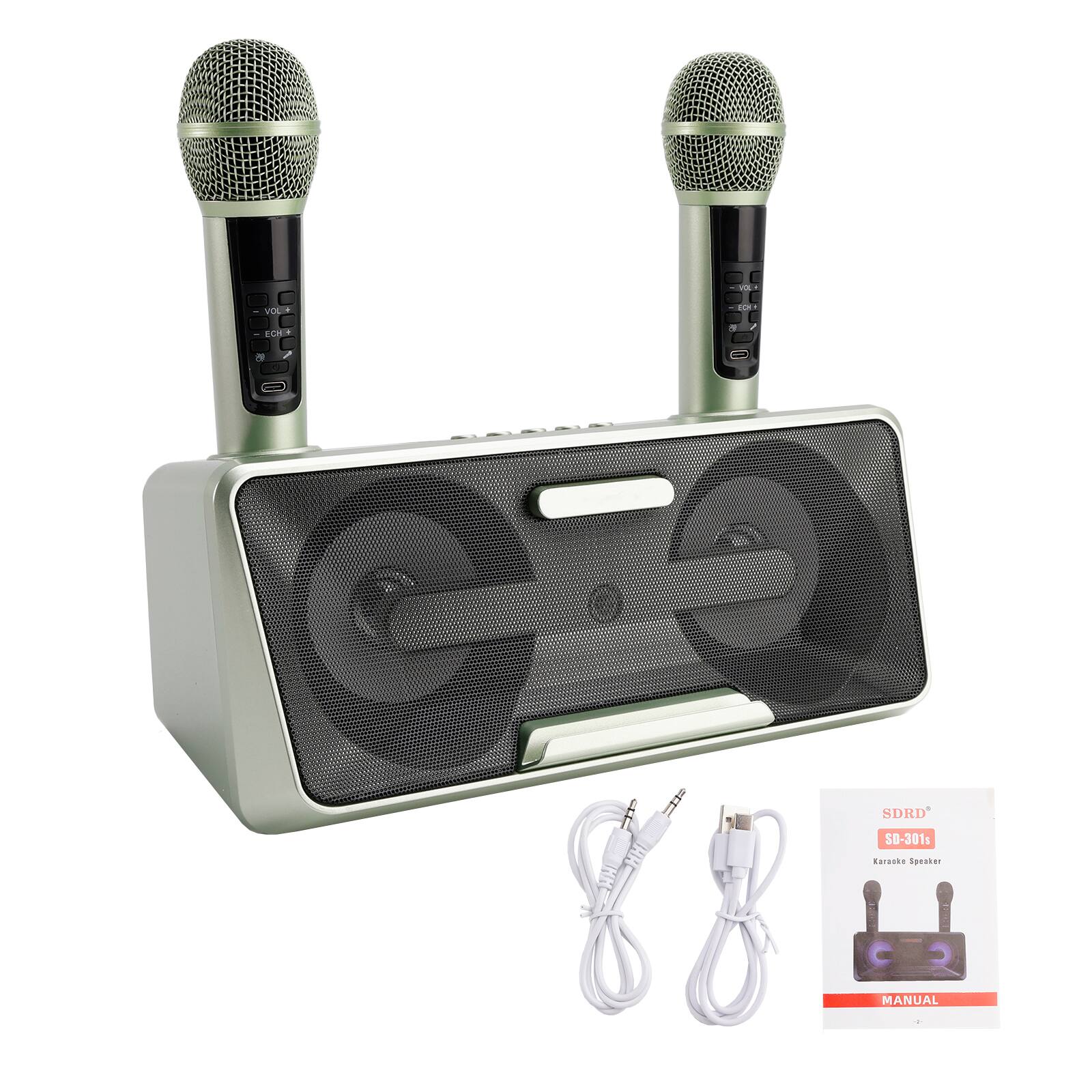 SDRD SD-301s Karaoke Speaker  
MANUAL