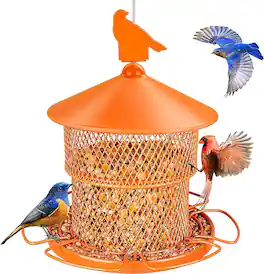 Avinory - Small Collapsible Wild Bird Feeder, 2.1 L - Orange
