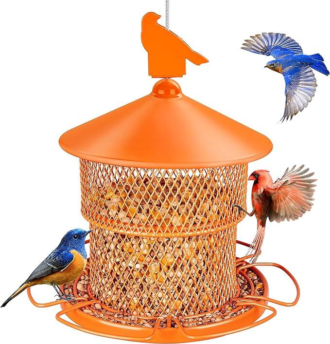 Avinory - Small Collapsible Wild Bird Feeder, 2.1 L - Orange