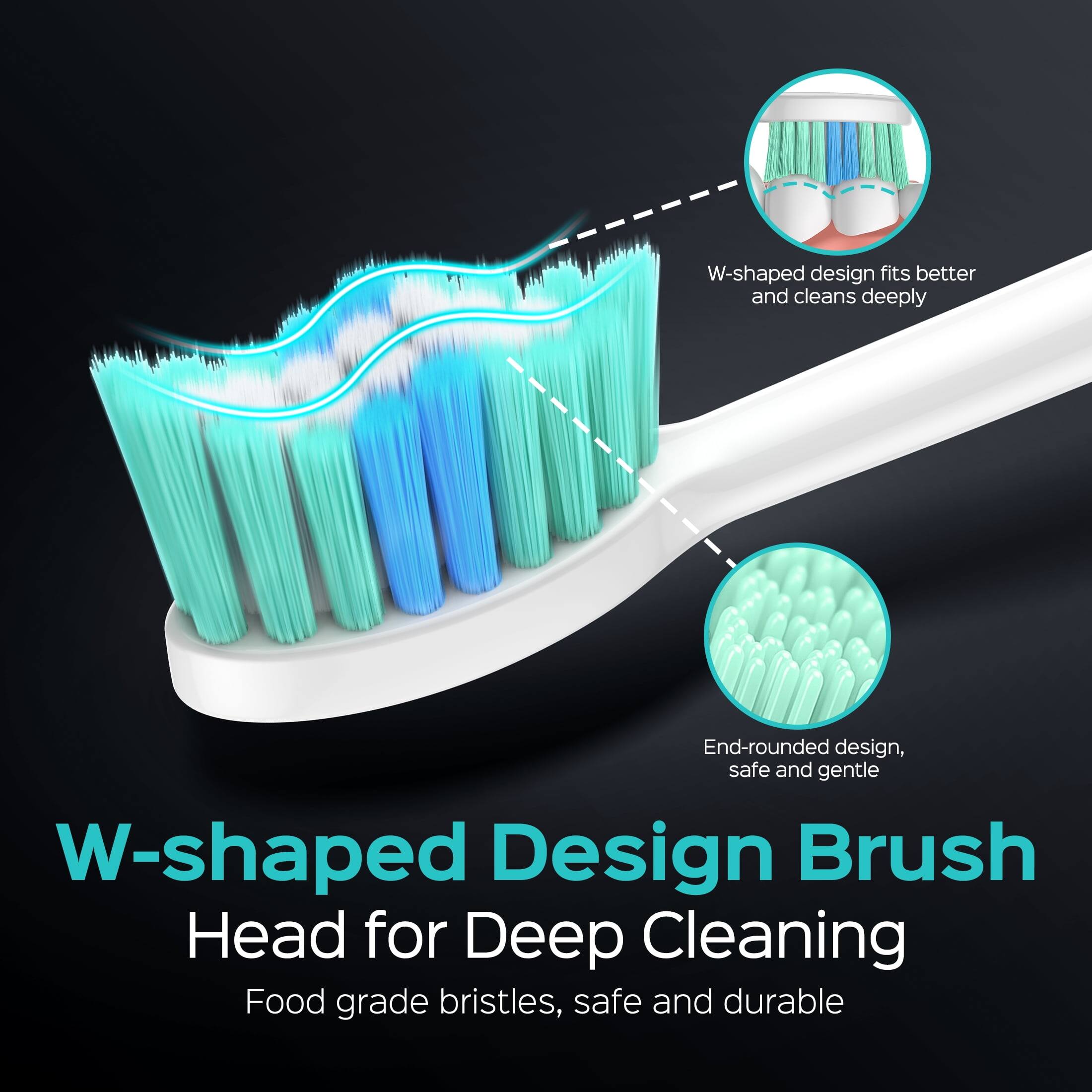 W-shaped design fits better and cleans deeply  
End-rounded design, safe and gentle  
W-shaped Design Brush Head for Deep Cleaning  
Food grade bristles, safe and durable