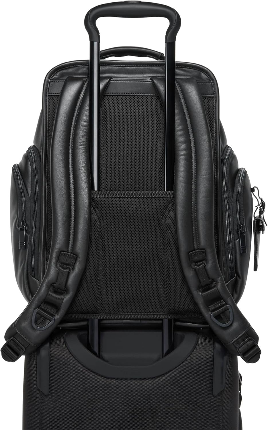 Back. TUMI - Alpha Brief Pack Leather Backpack - Black.