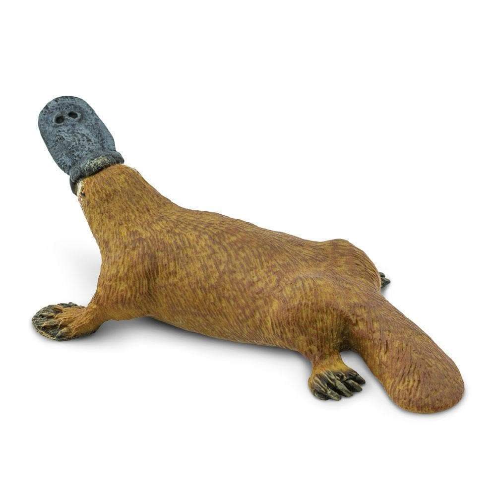 Angle. Safari Ltd. - Platypus Toy Figurine.