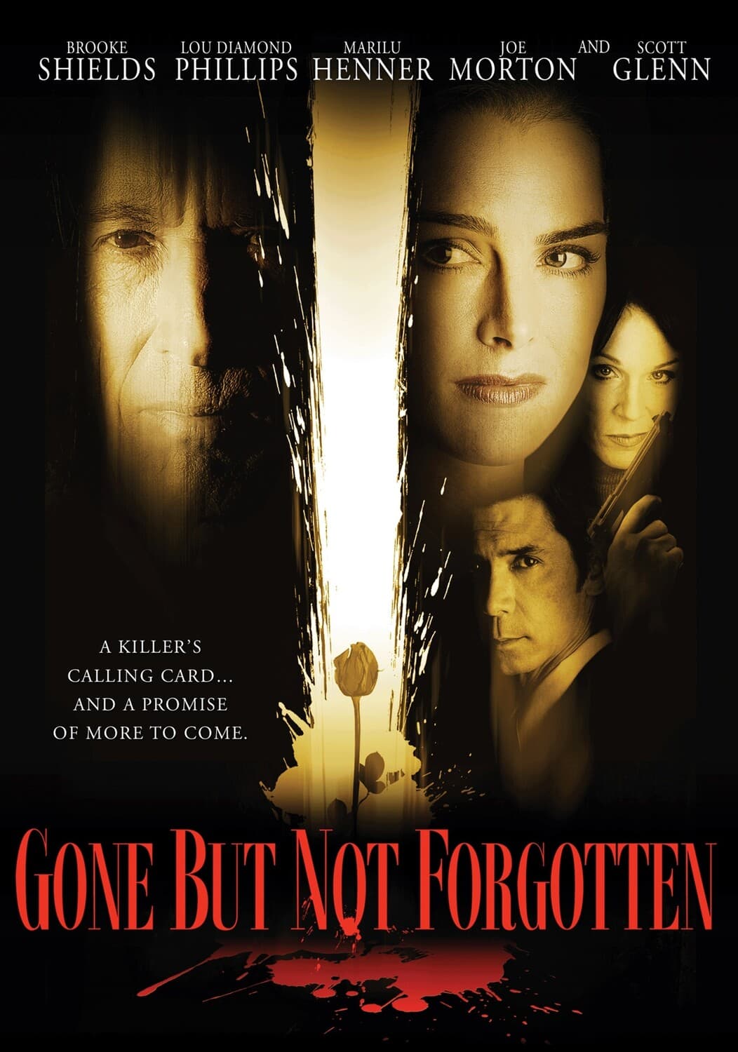 Gone But Not Forgotten  - DVD