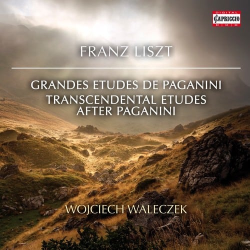Liszt / Walaczek - Transcendental Etudes After Paganini   - COMPACT DISCS [CD] price history on PriceWatchPro