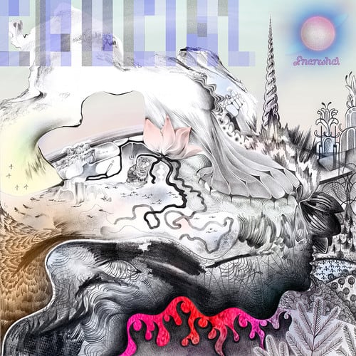 Gnarwhal - Crucial   - VINYL LP price history on PriceWatchPro