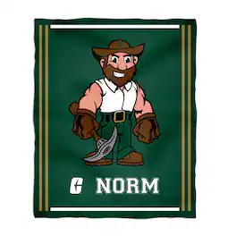 Vive La Fete - Charlotte 49ers 36'' x 48'' Big Mascot Blanket - Green