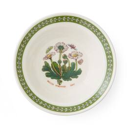 Portmeirion - Botanic Garden Etchings Oatmeal Bowl, Daisy - Multicolored
