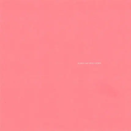 SUNNY DAY REAL ESTATE