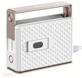 Newbealer - Steam Iron for clothes,100-240V Portable Clothes Steamer,Non-Stick Ceramic Soleplate,Horizontal & Vertical Steaming - Gold