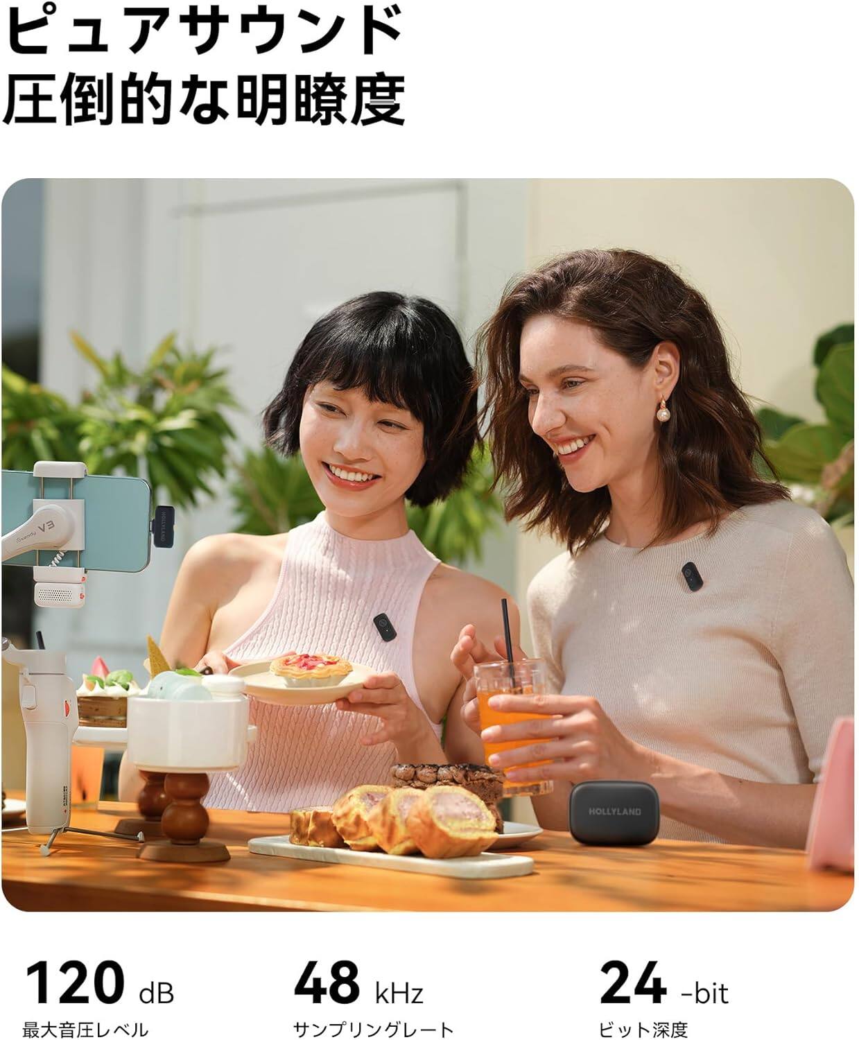 EV I HOLLYLAND  
120 dB  
48 kHz  
24-bit  

ピュアサウンド  
圧倒的な明瞭度  

120 dB  
最大音圧レベル  

48 kHz  
サンプリングレート  

24 -bit  
ビット深度