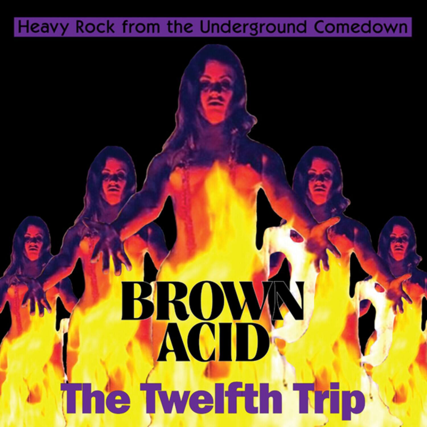 Heavy Rock from the Underground Comedown

BROWN ACID

The Twelfth Trip