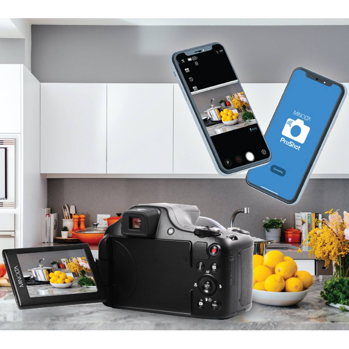 MINOLTA ProShot  
Coercing MINOLTA