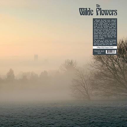 Front. The Wilde Flowers [LP].