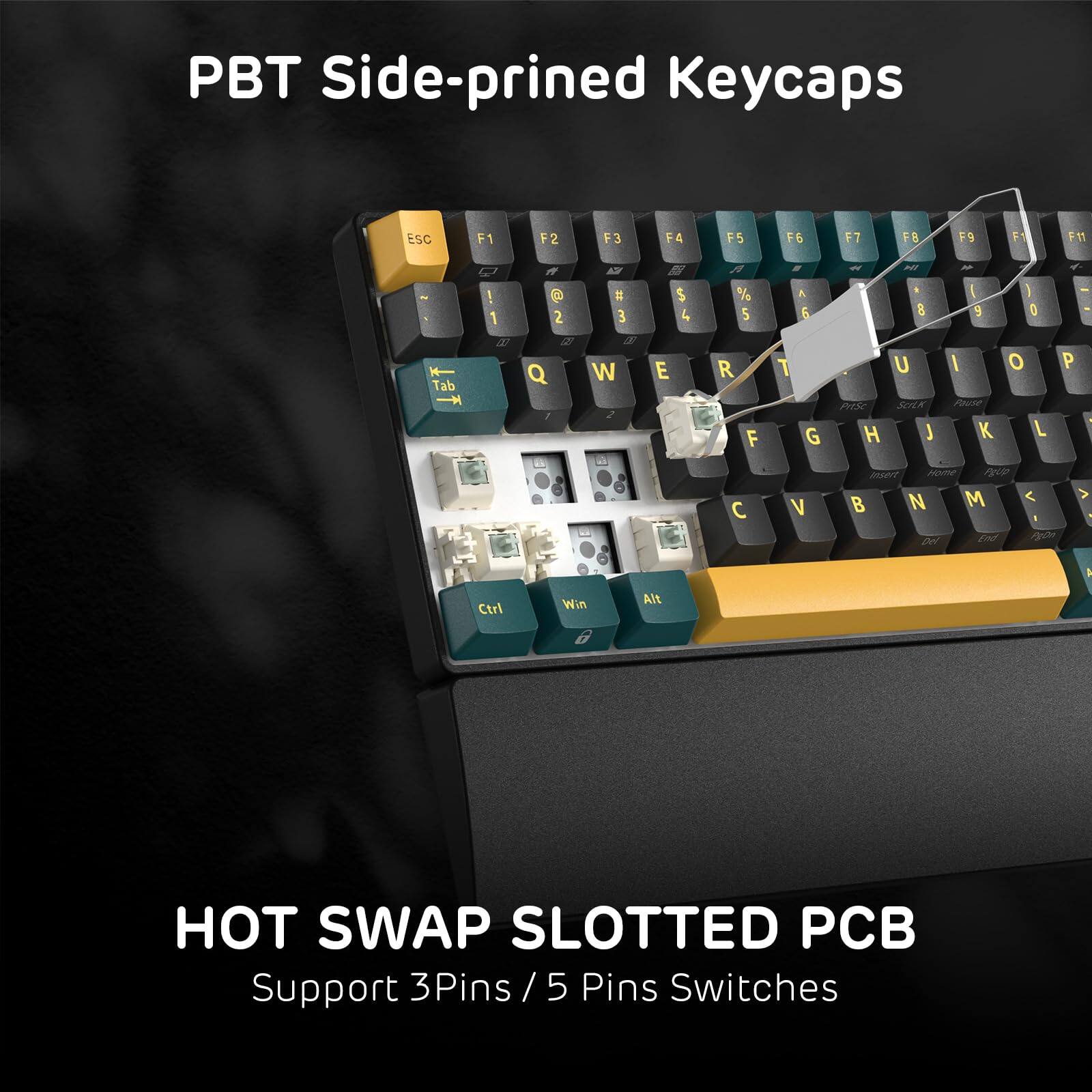 PBT Side-primed Keycaps

HOT SWAP SLOTTED PCB
Support 3Pins / 5 Pins Switches