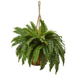 BreeBe - 29" Boston Fern Hanging Basket - Green