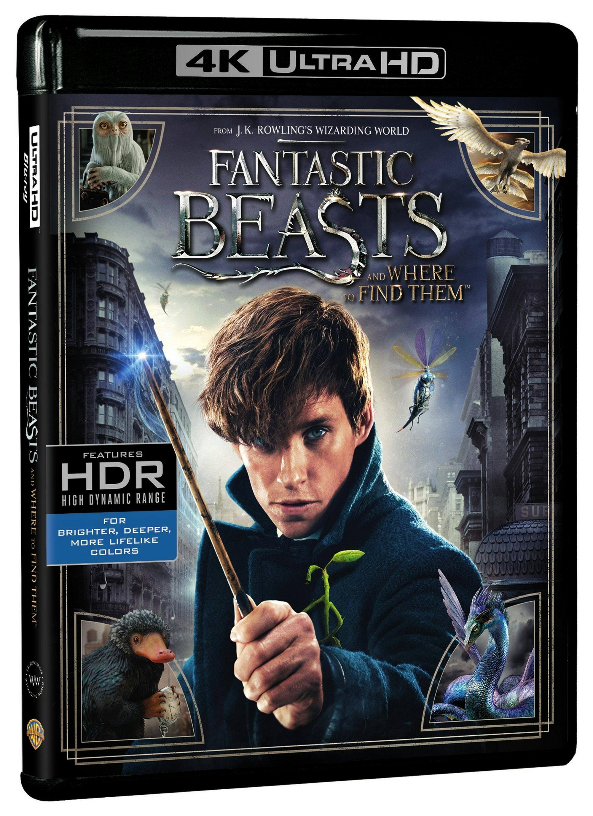 Angle. Fantastic Beasts and Where to Find Them   - 4K Blu-Ray.