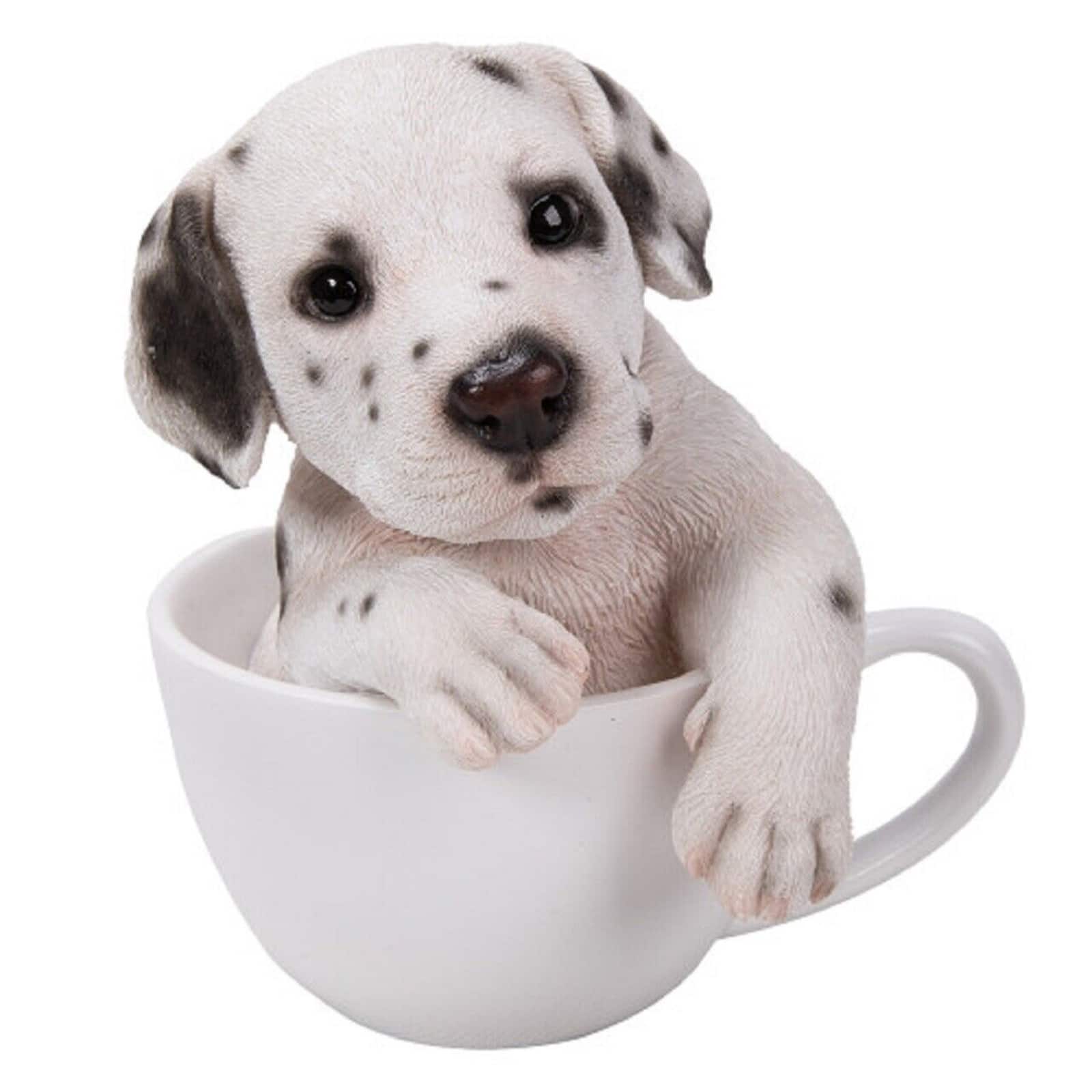 Pacific Trading - Dalmatian Puppy in Teacup Pups Figurine 6 inch Black and White