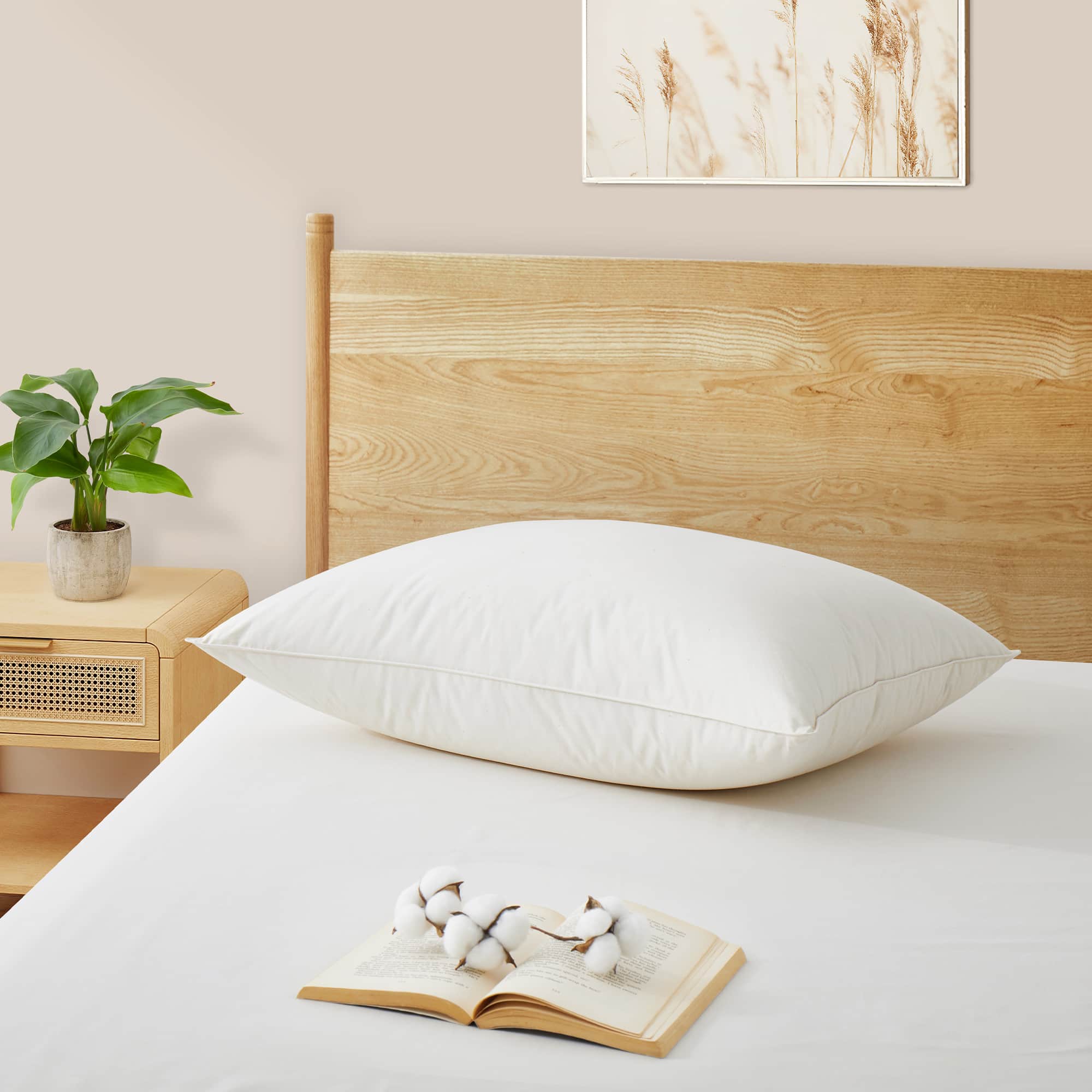 Puredown - Single Pack Luxury Natural Organic Cotton Down Bed Pillow, Standard/Queen - White